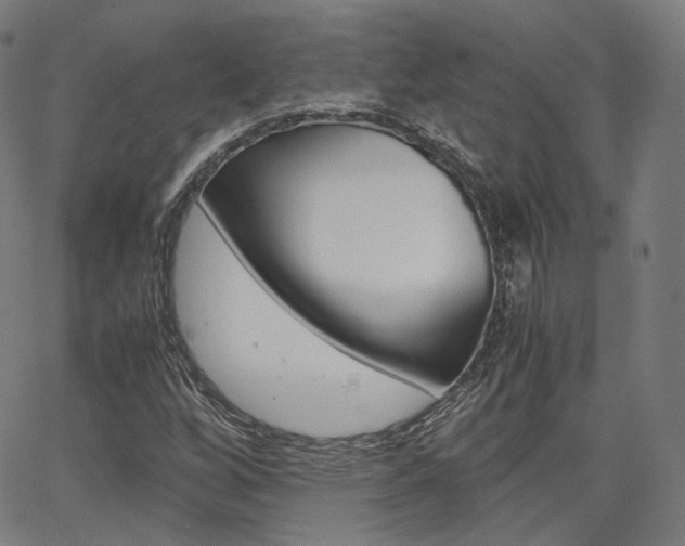 X0000063501256200601201017