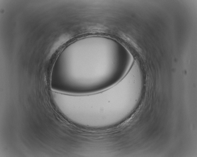 X0000063501261200601201017