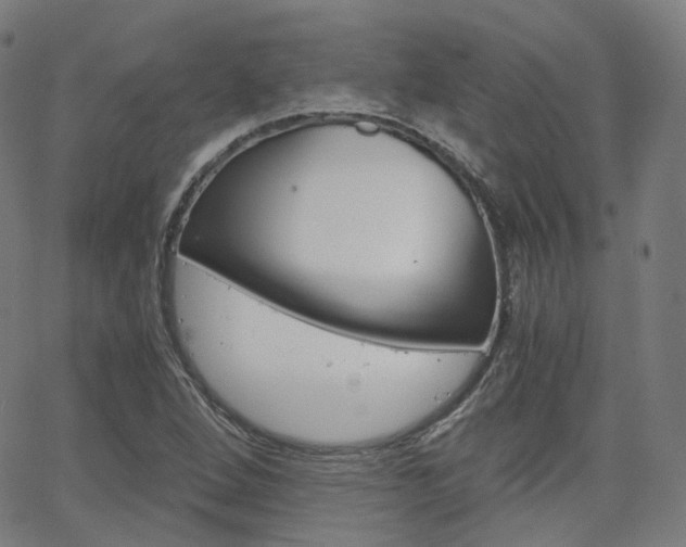 X0000063501264200601201017