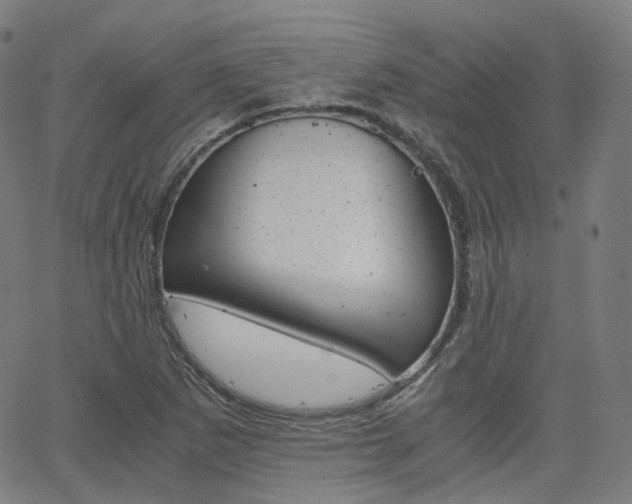 X0000063501265200601201017