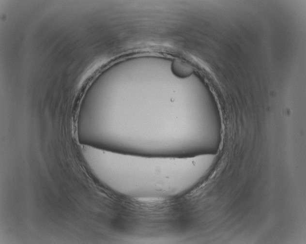 X0000063501267200601201017