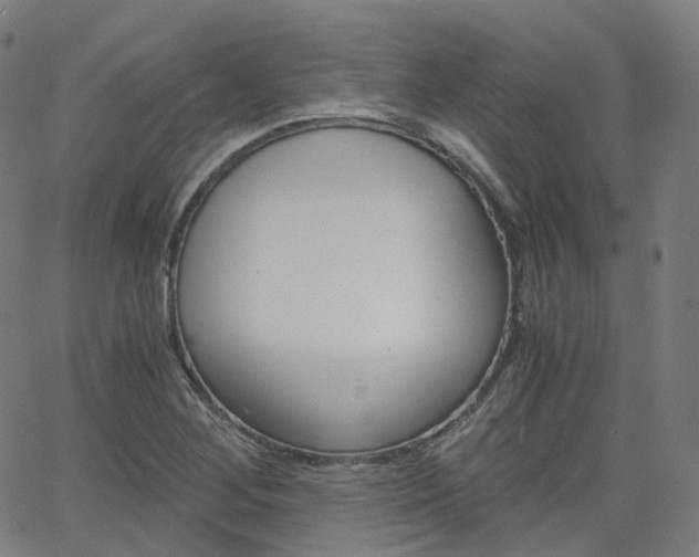 X0000063501268200601201017