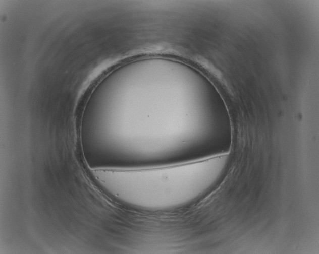 X0000063501270200601201017