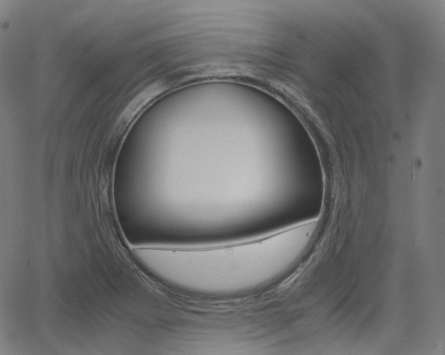 X0000063501273200601201017