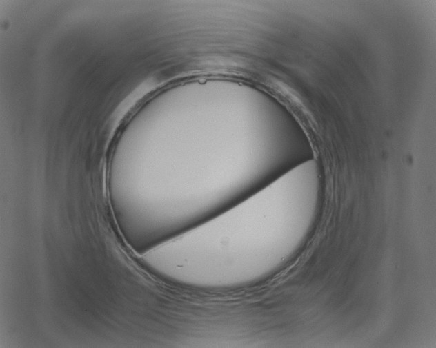 X0000063501275200601201017