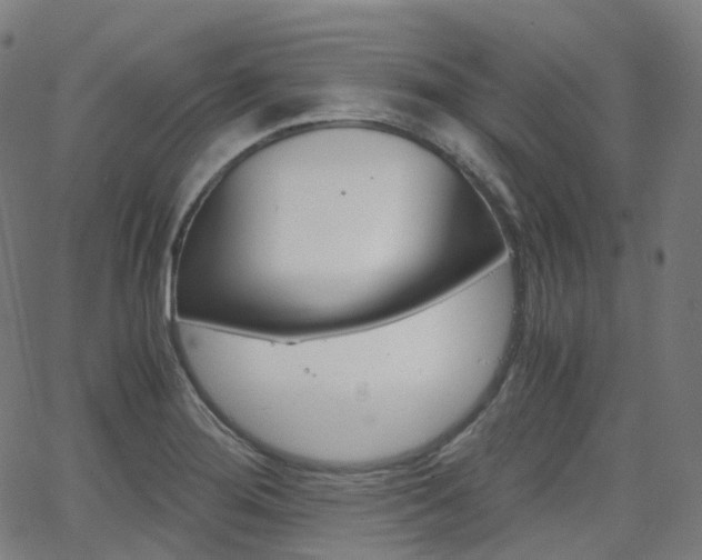 X0000063501276200601201017