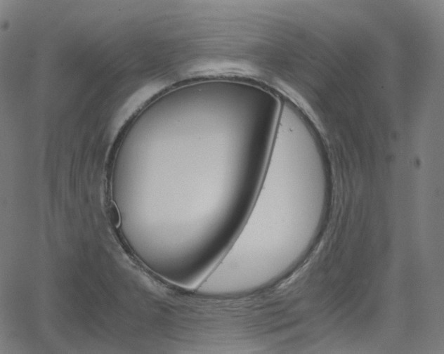 X0000063501277200601201017