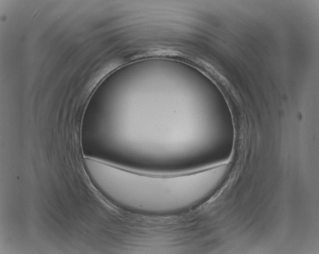 X0000063501281200601201017