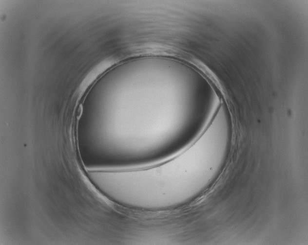 X0000063501293200601201017