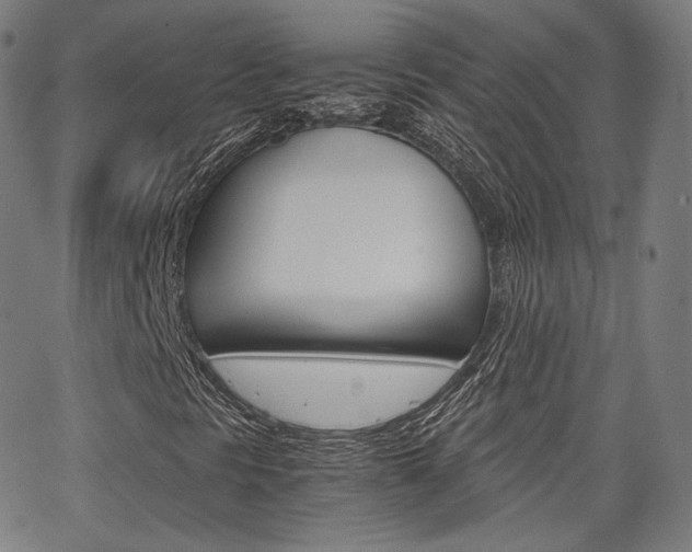 X0000063501297200601201016