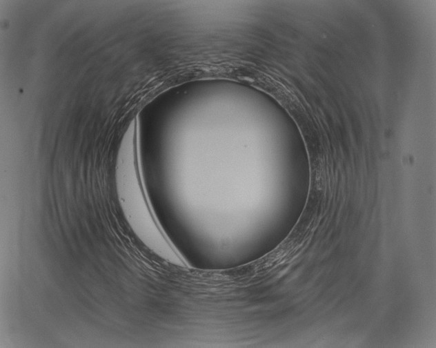 X0000063501298200601201016