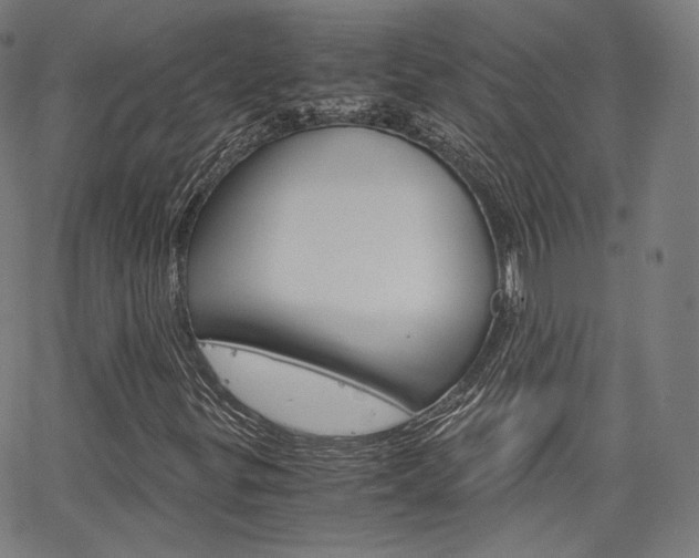 X0000063501299200601201016