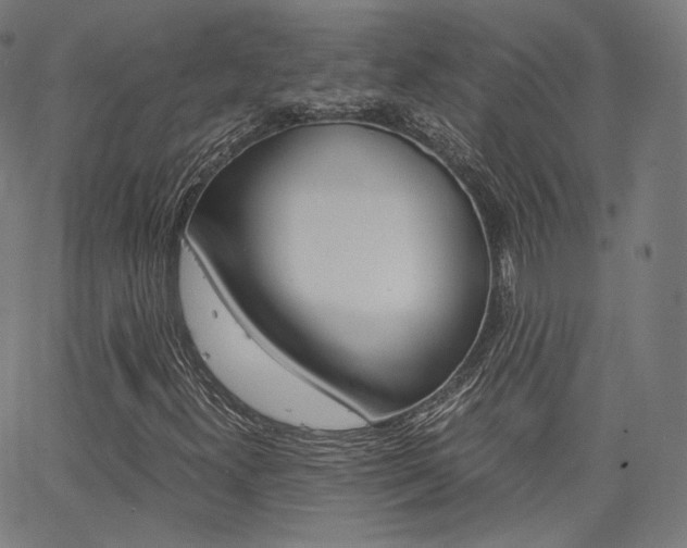 X0000063501300200601201016