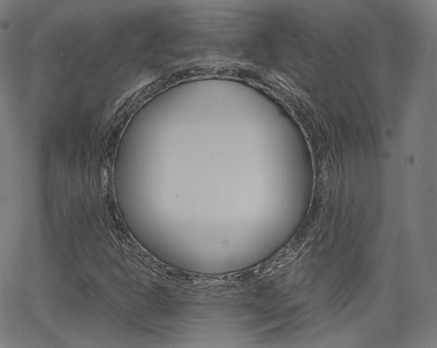 X0000063501302200601201016