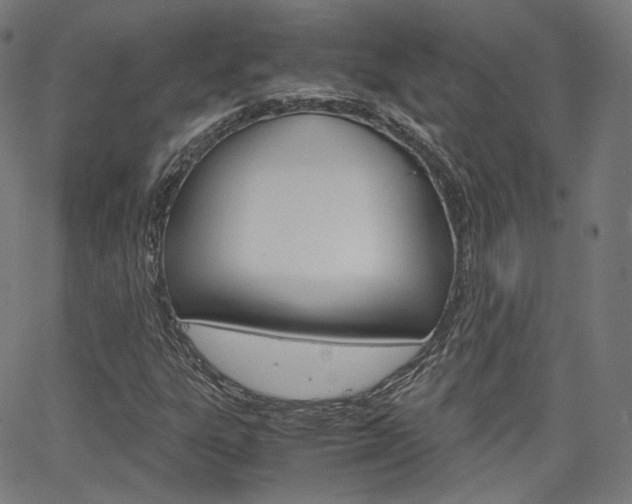 X0000063501303200601201016