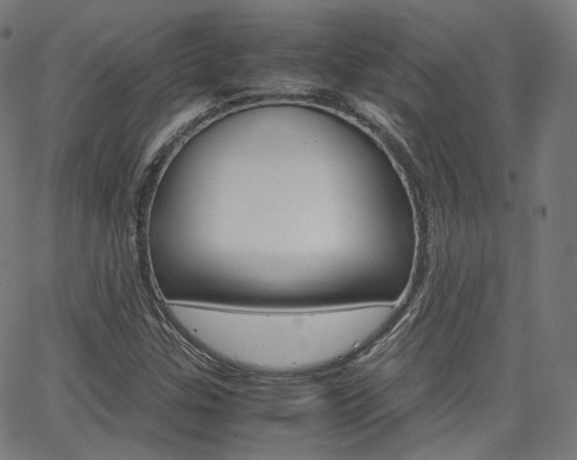 X0000063501307200601201016