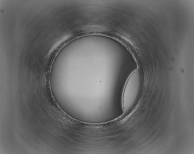 X0000063501309200601201016