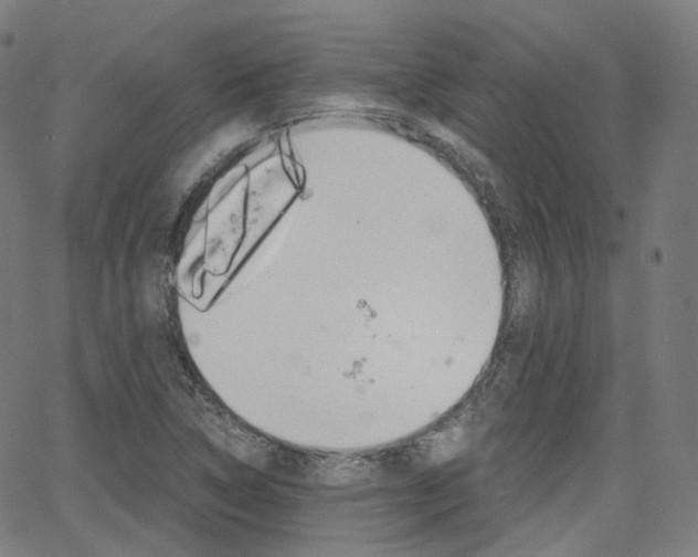 X0000063501314200601201016