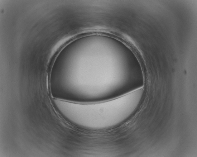 X0000063501320200601201016