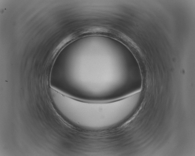 X0000063501321200601201016