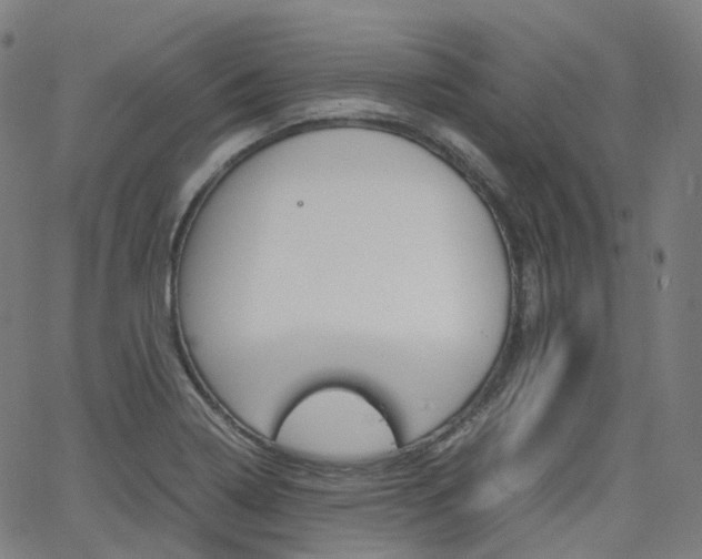 X0000063501322200601201016