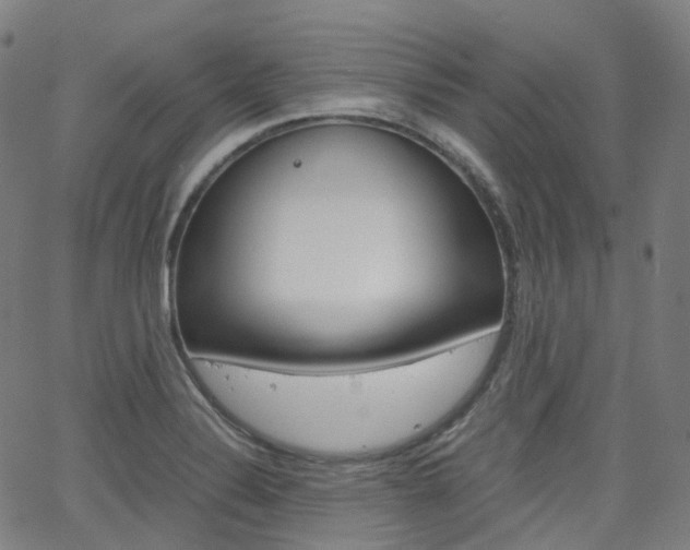 X0000063501324200601201016