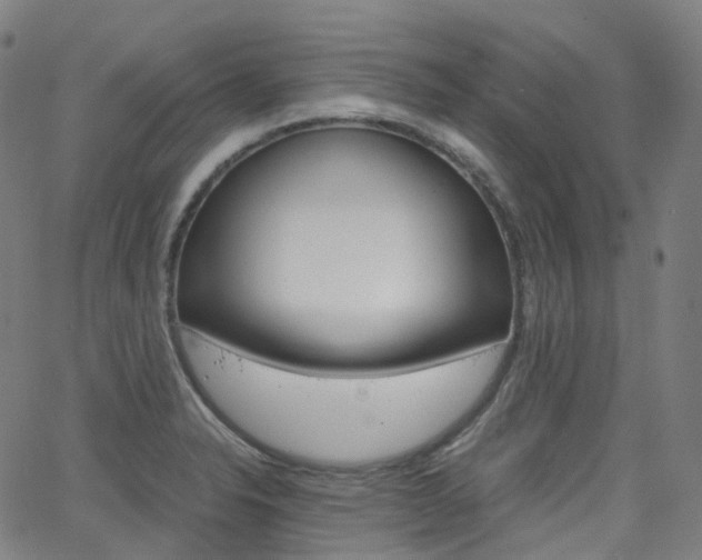 X0000063501326200601201016