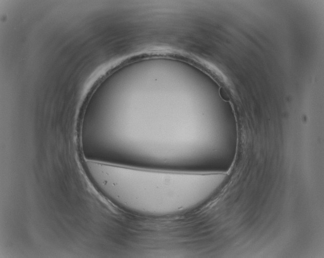 X0000063501327200601201016