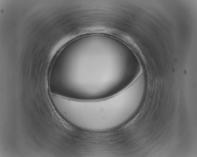X0000063501328200601201016