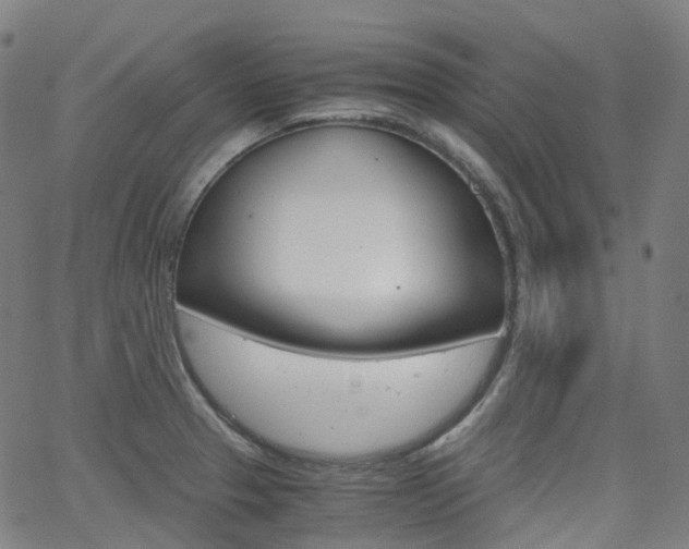 X0000063501329200601201016