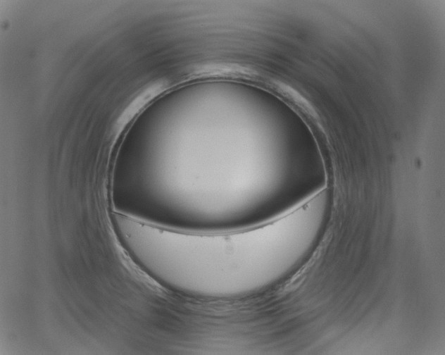 X0000063501330200601201016