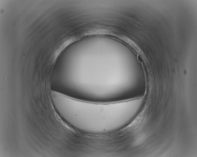 X0000063501337200601201016