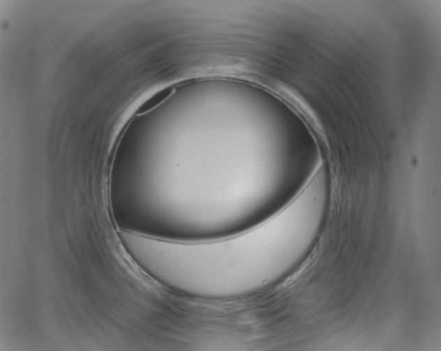 X0000063501340200601201016