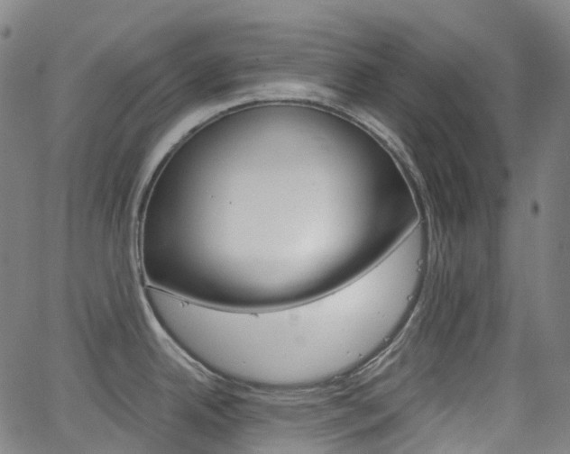 X0000063501342200601201016