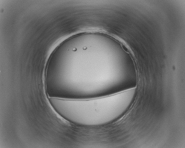 X0000063501343200601201017