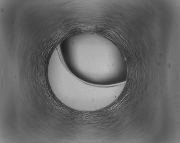 X0000063501345200601201016