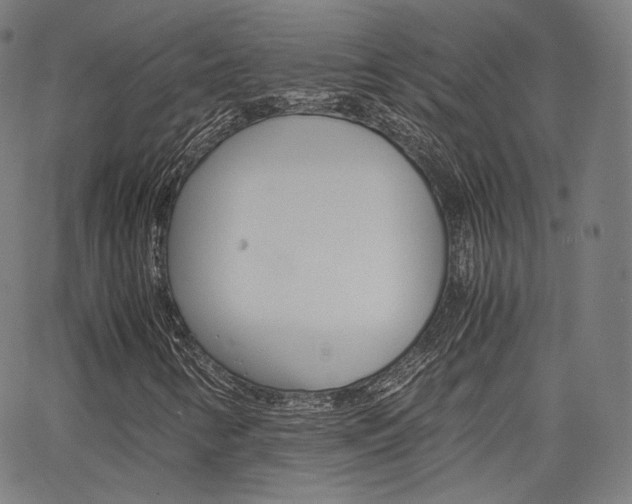 X0000063501346200601201016