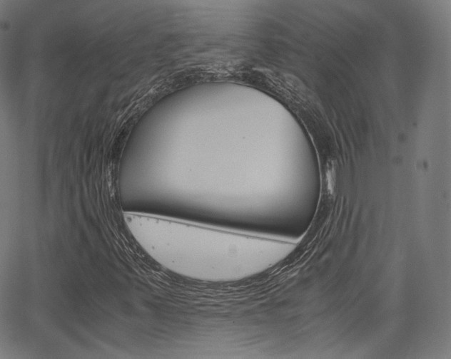 X0000063501347200601201016