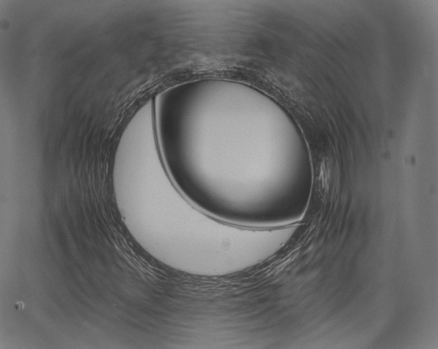 X0000063501348200601201016