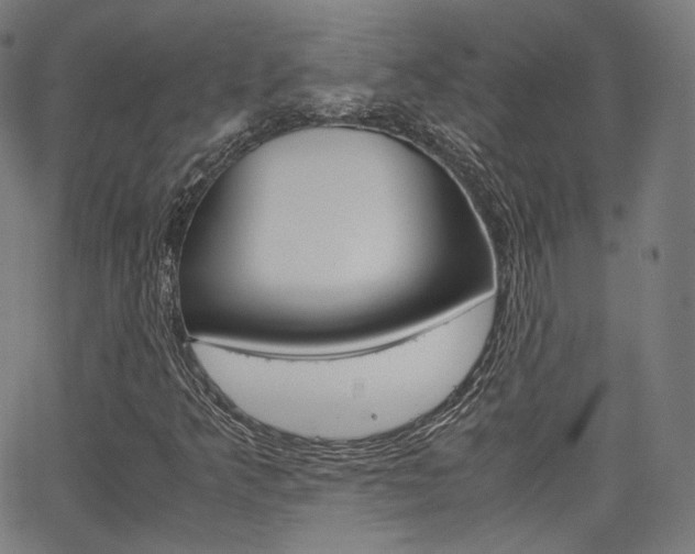 X0000063501349200601201016
