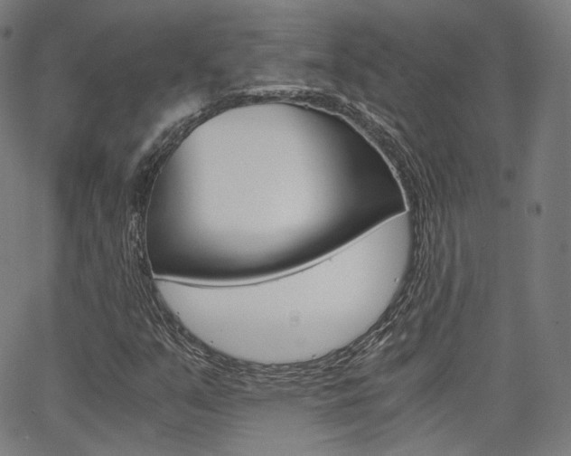 X0000063501351200601201016