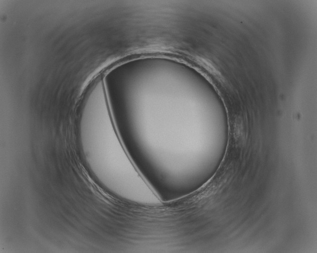 X0000063501356200601201016
