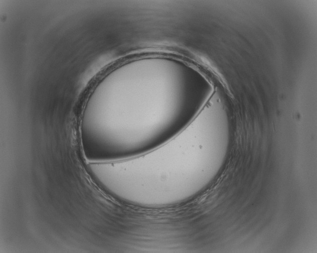 X0000063501360200601201015