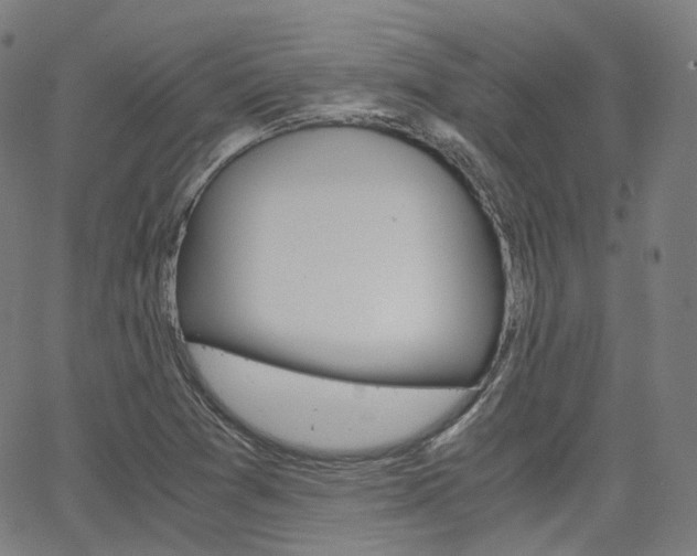 X0000063501361200601201015