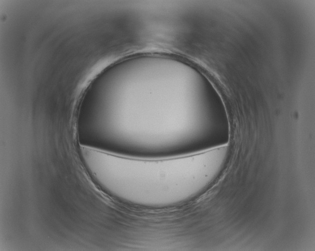 X0000063501367200601201015