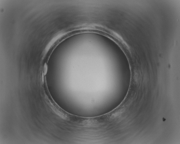 X0000063501368200601201015