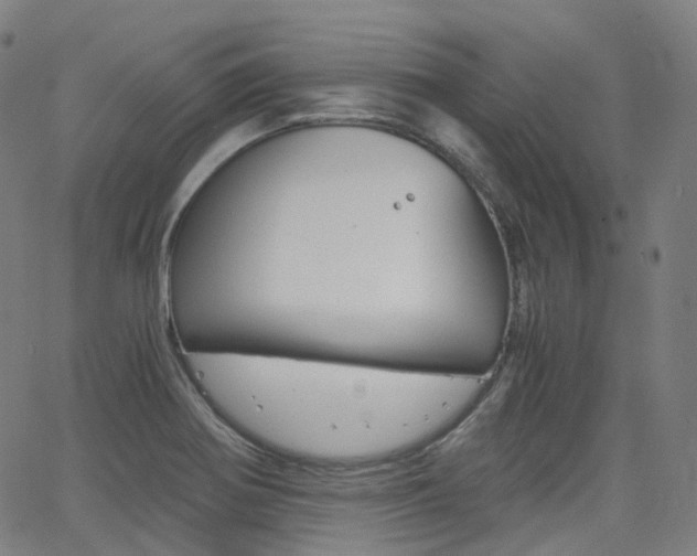 X0000063501370200601201015