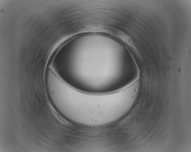 X0000063501372200601201015