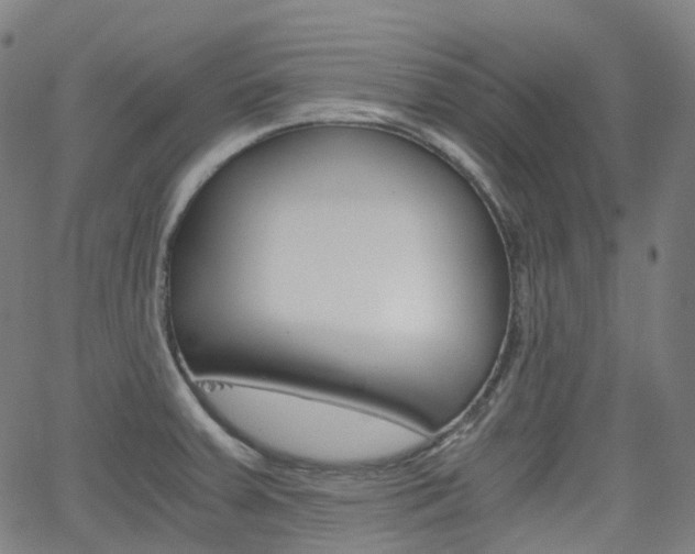 X0000063501379200601201015