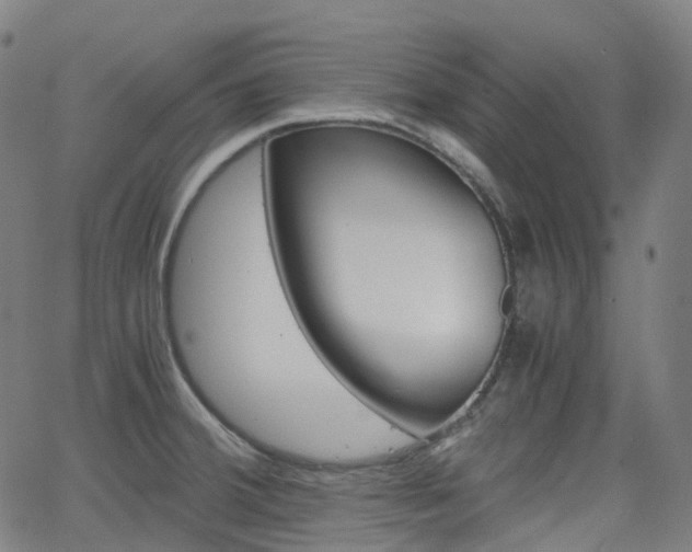 X0000063501380200601201015